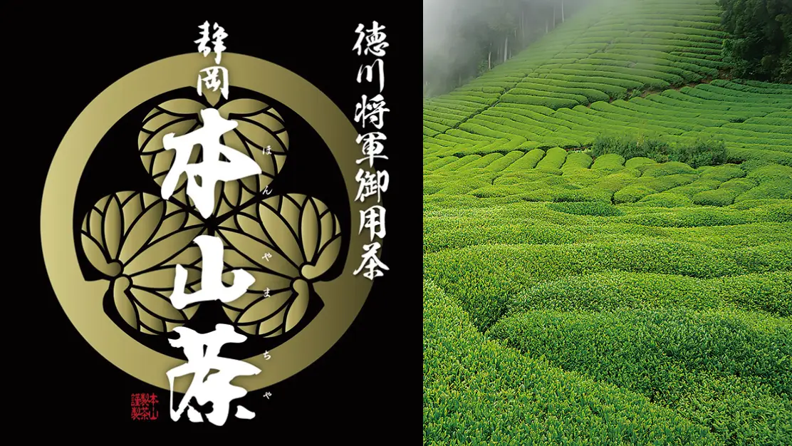 静岡県産の美味しいお茶の詰め放題。