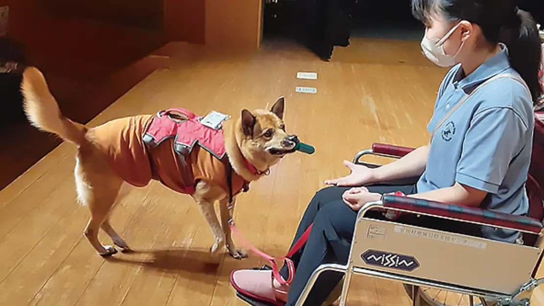 聴導犬・介助犬デモ