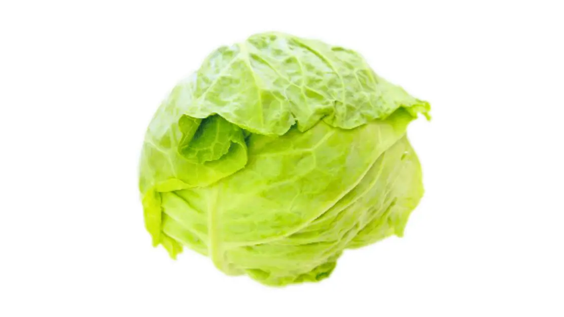 軽井沢霧下野菜キャベツ